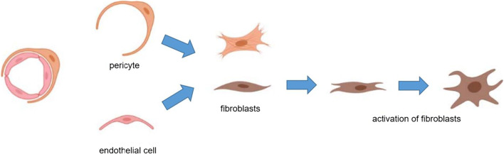 Fig. 8