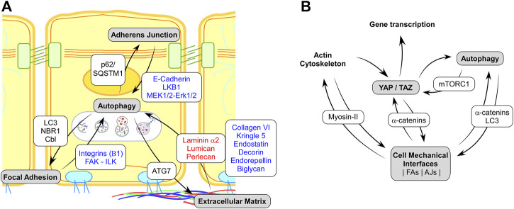 FIGURE1