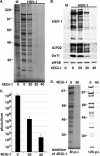 FIG. 7.