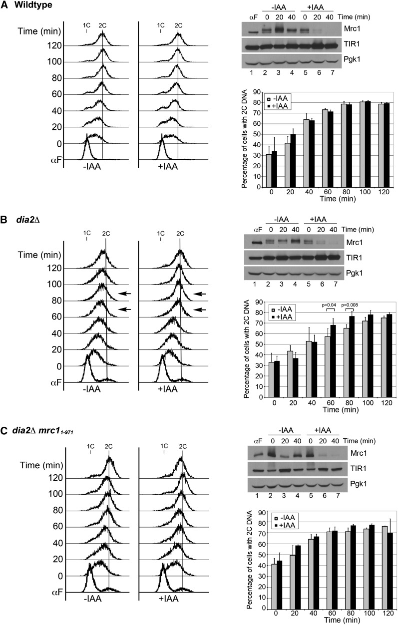 Figure 6 