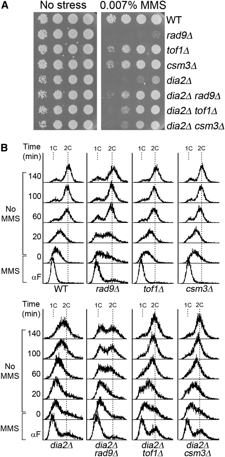 Figure 4 