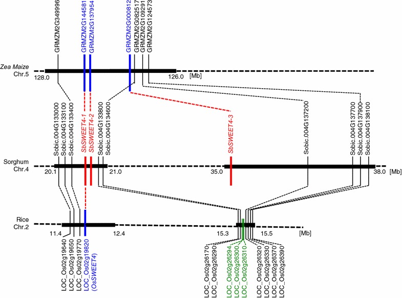 Fig. 6