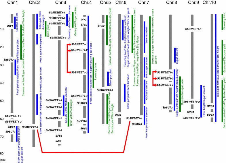 Fig. 2