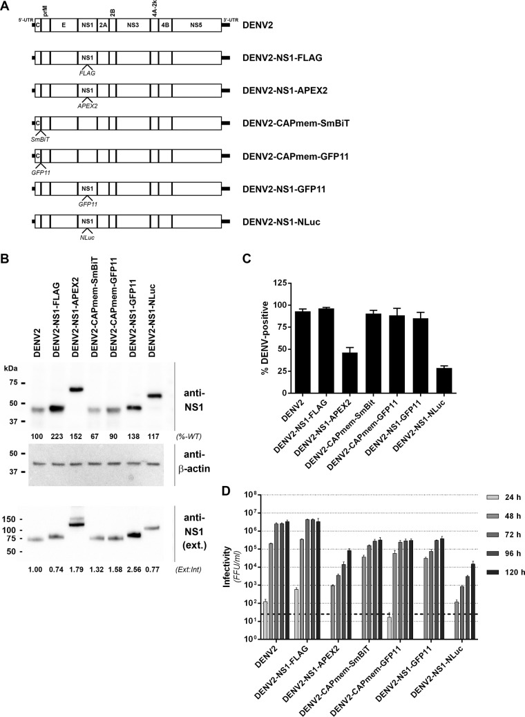 FIG 6