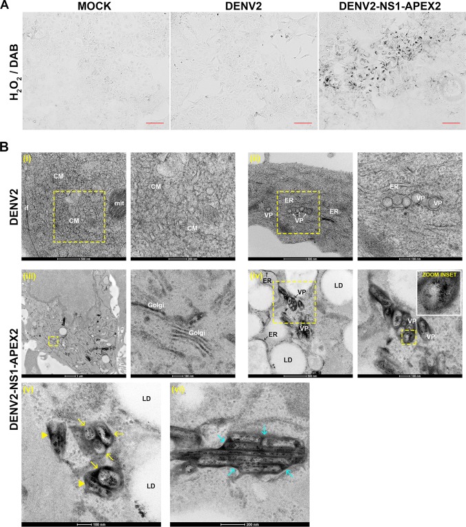 FIG 10