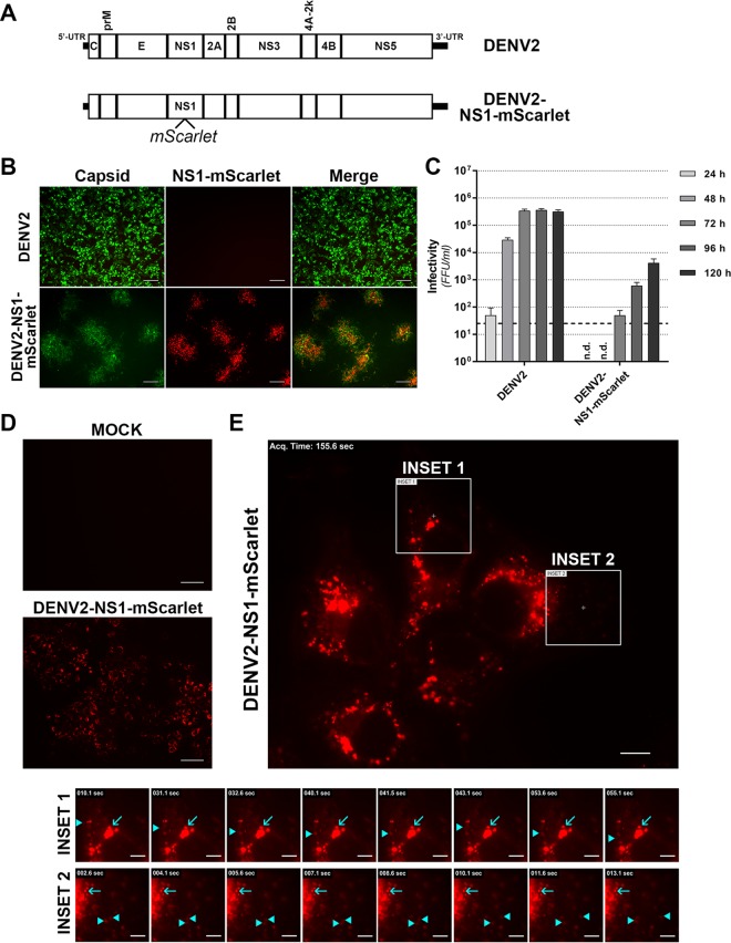 FIG 12