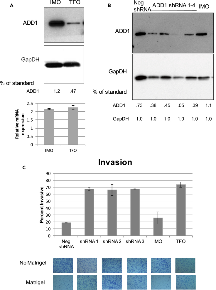 Figure 4