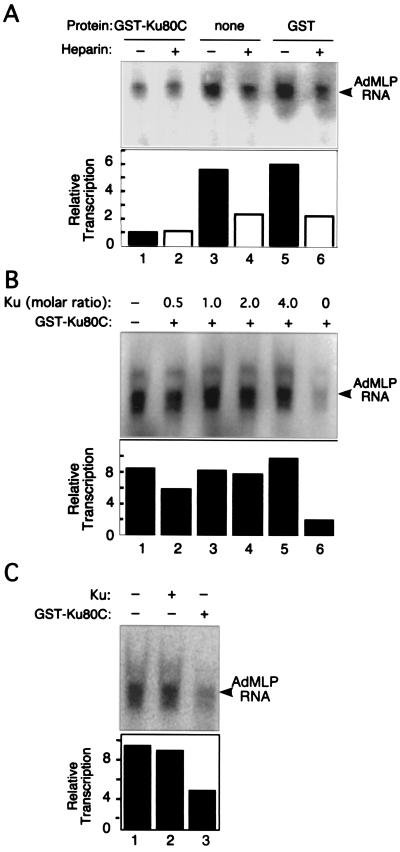 FIG. 5.