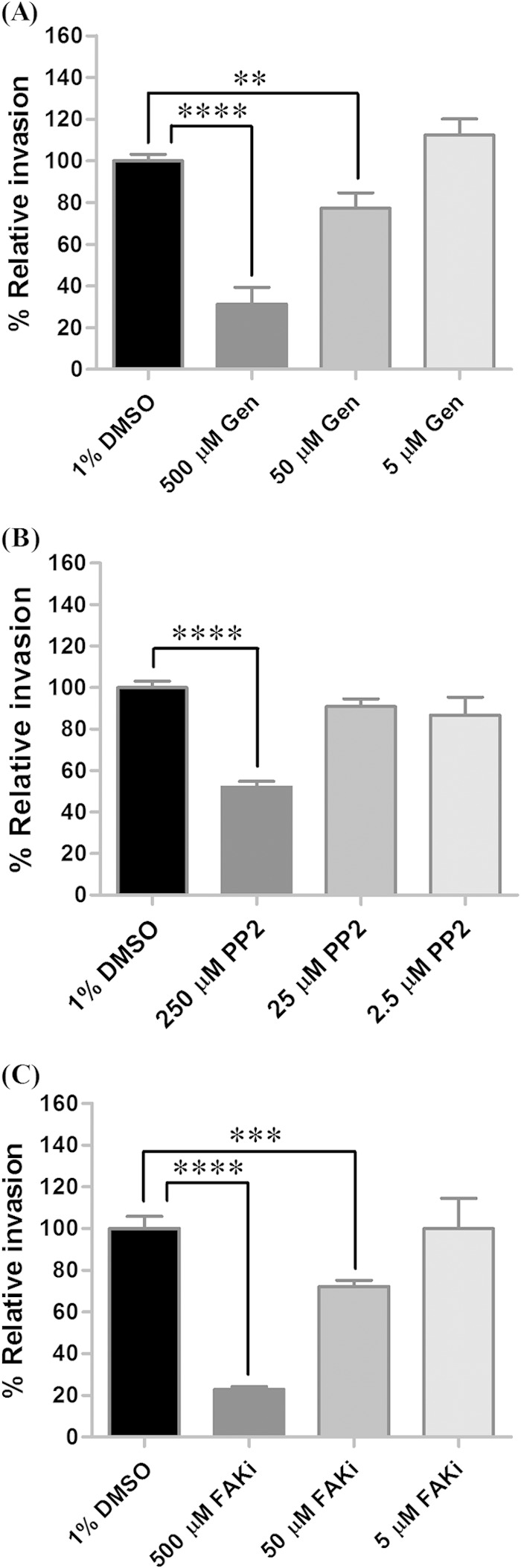 FIG 6