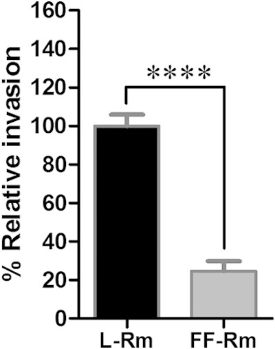 FIG 1