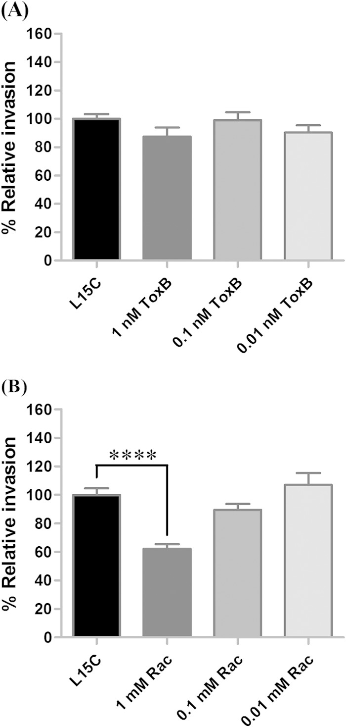 FIG 5