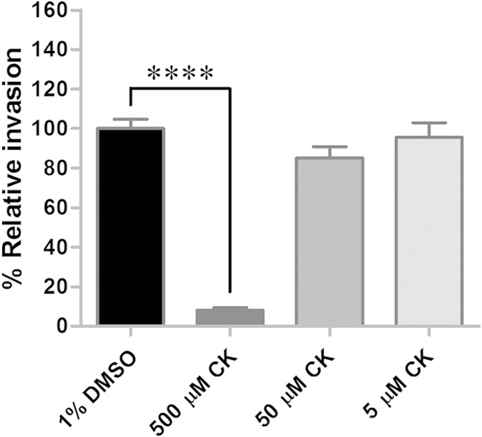 FIG 3