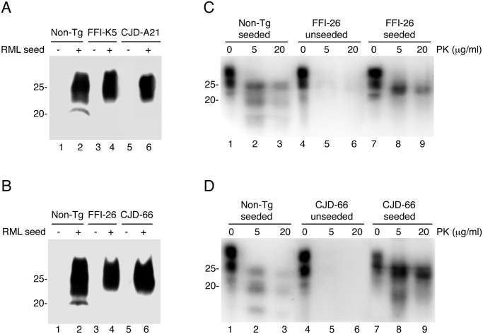 Fig 12