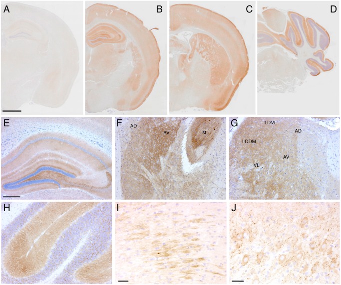 Fig 9