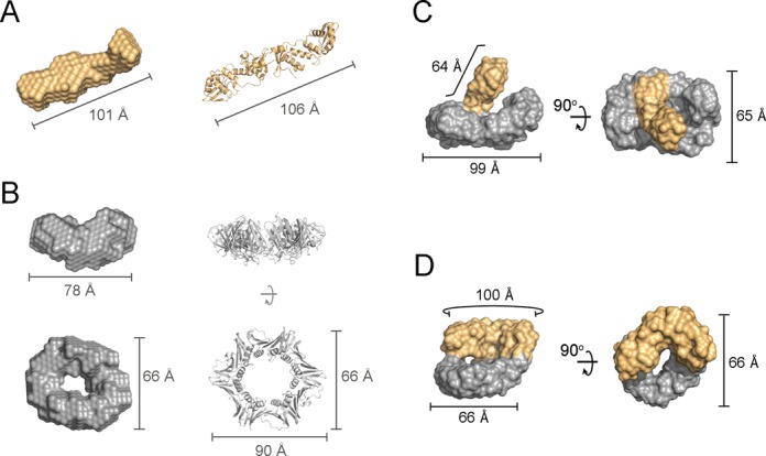 Figure 4.