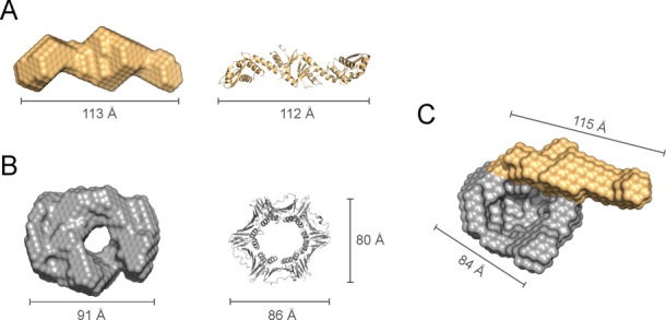 Figure 5.