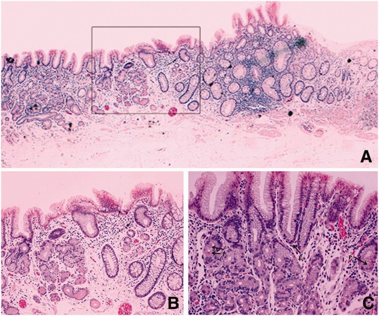 Figure 3.