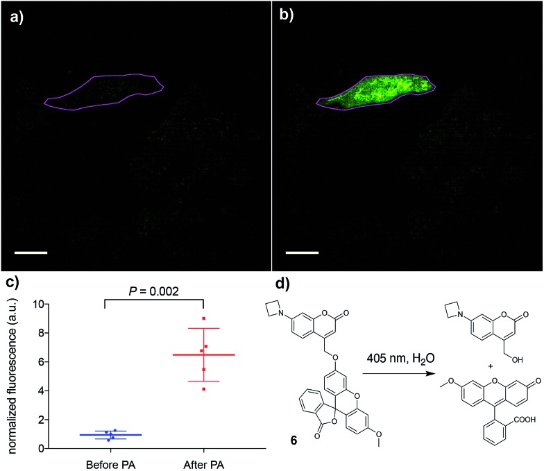 Fig. 4