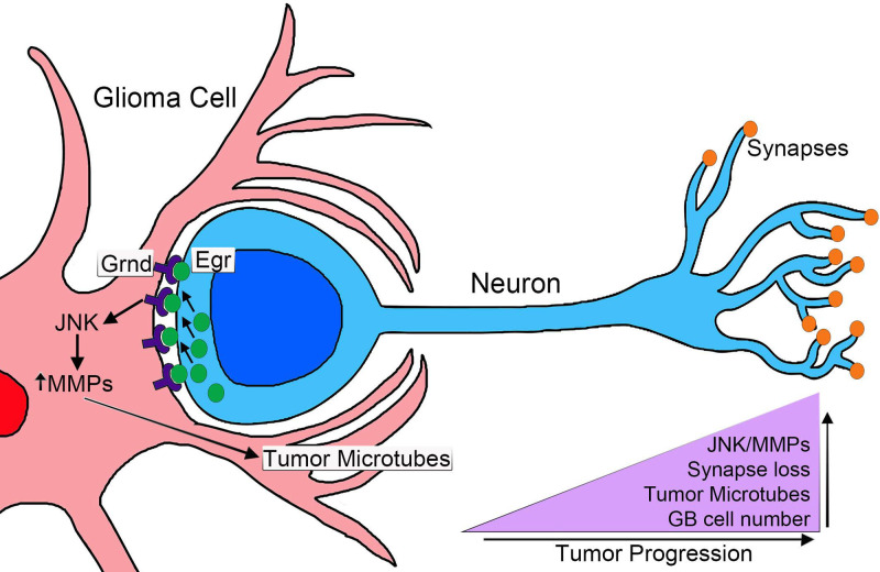 Fig. 7.