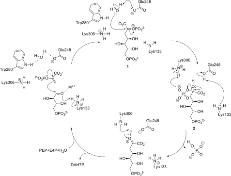 FIGURE 7.