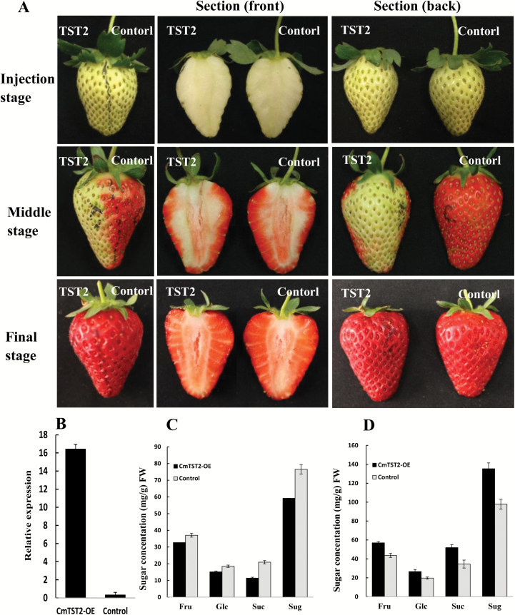 Fig. 7.