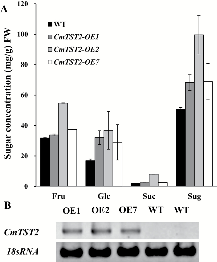 Fig. 8.