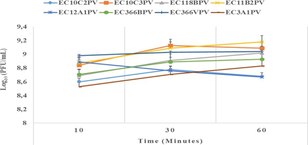 Figure 5