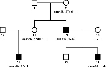 Fig. 3