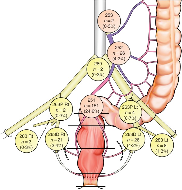 BJS5-50194-FIG-0002-c