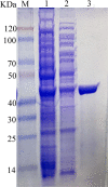 FIGURE 2