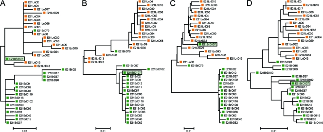 Fig. 3.