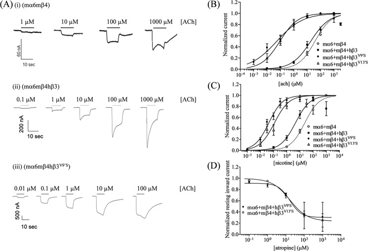 FIGURE 2.