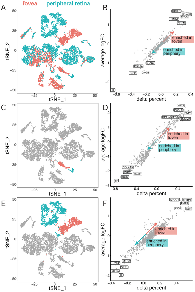 Figure 3: