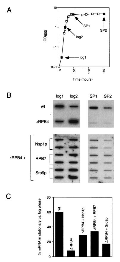 FIG. 5