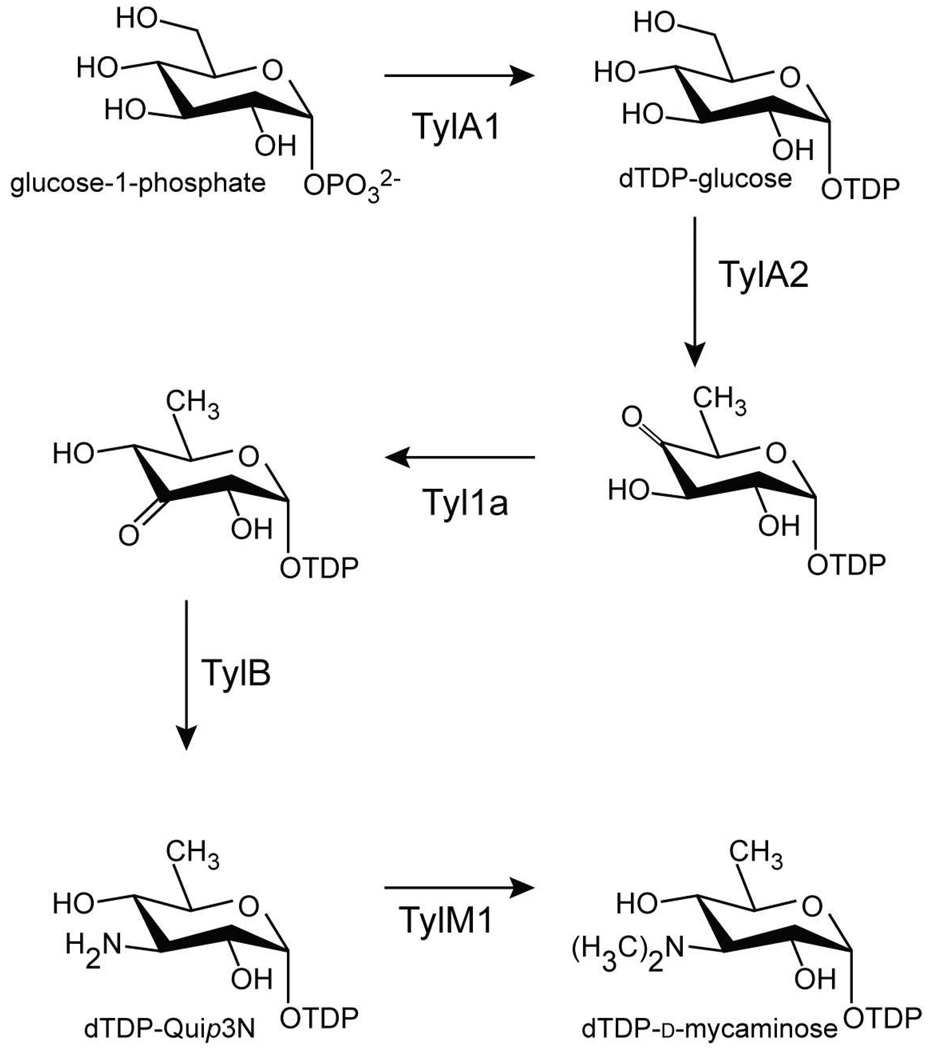 Scheme 1