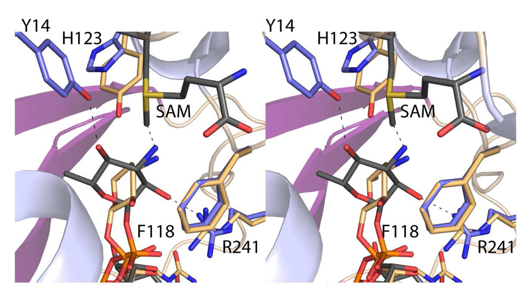 Figure 5