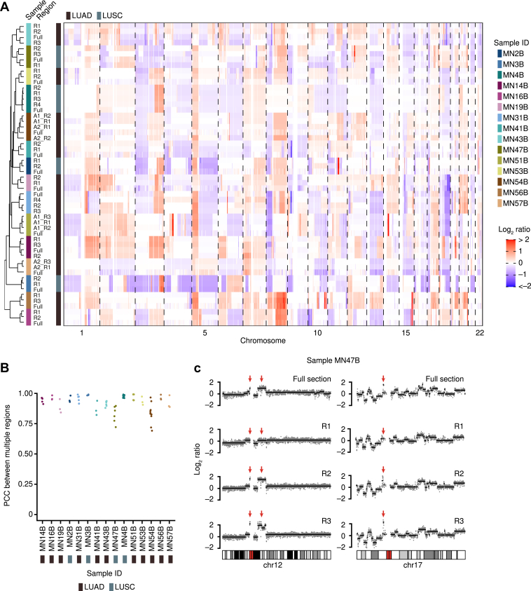 Figure 2