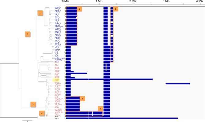 Figure 2—figure supplement 2.