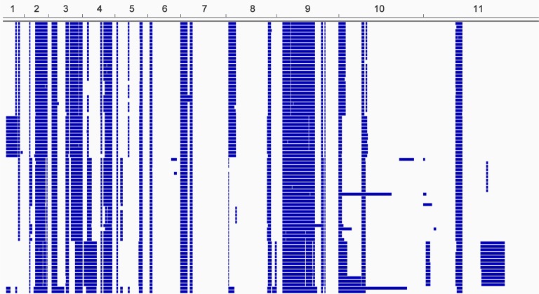 Figure 2—figure supplement 1.