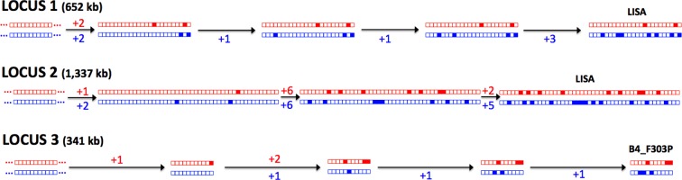 Figure 3.