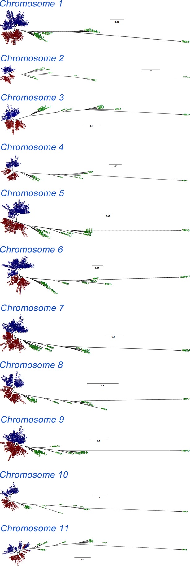 Figure 4—figure supplement 1.