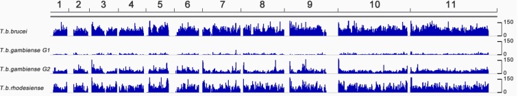 Figure 1—figure supplement 1.