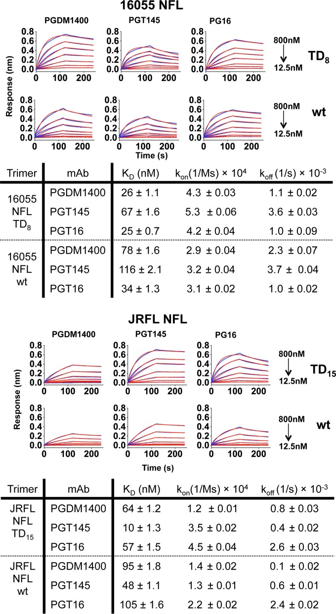 FIG 6