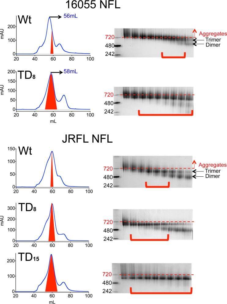 FIG 4