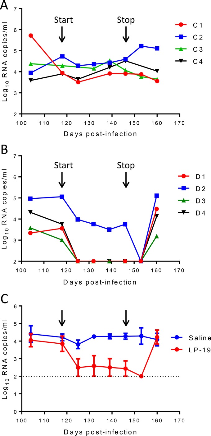 FIG 6