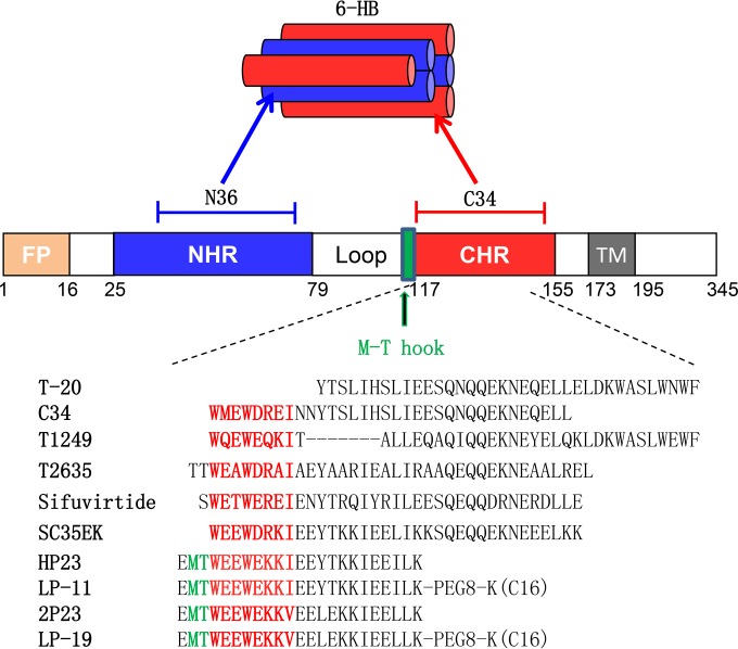 FIG 1