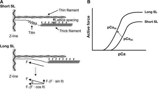 Fig. 5