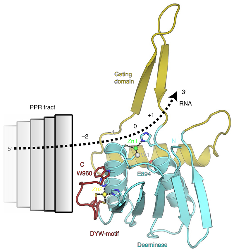 Fig. 7