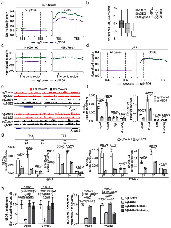 Extended Figure 6.