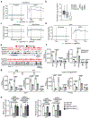 Extended Figure 6.